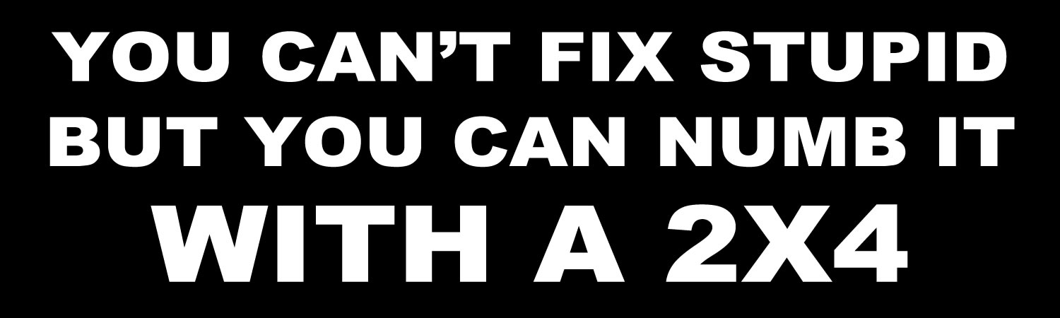  You Can t Fix Stupid But You Can Numb It With A 2X4  Vinyl Bumper Sticker  Window Cling or Bumper Sticker Magnet in UV Laminate Coating